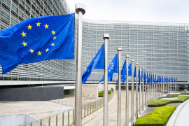 Thumbnail for 6818446