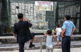 Thumbnail for 6818656