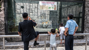 Thumbnail for 6818656