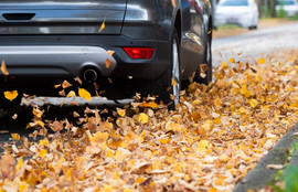 Thumbnail for 6818737