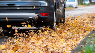 Thumbnail for 6818737