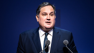 Thumbnail for 6818811