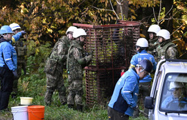 Thumbnail for 6818879