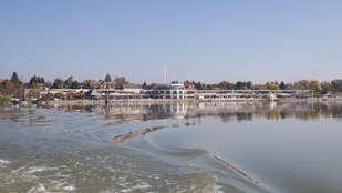 Thumbnail for 6819018