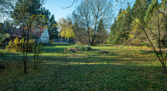 Thumbnail for 6819164