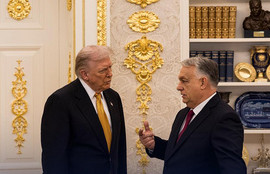 Thumbnail for 6819264