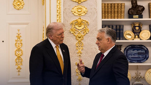 Thumbnail for 6819264