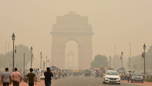 Thumbnail for 6819300