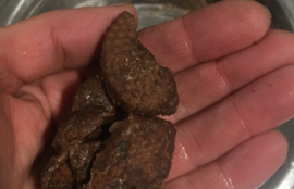 Thumbnail for 6819305