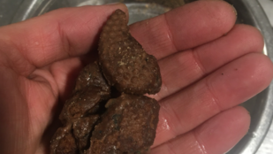 Thumbnail for 6819305