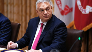 Thumbnail for 6819362