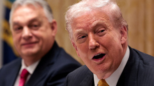 Thumbnail for 6819389