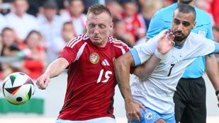 Thumbnail for 6819484