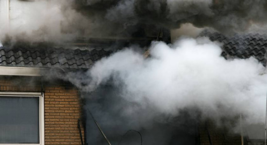 Thumbnail for 6819486