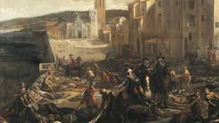 Thumbnail for 6819628