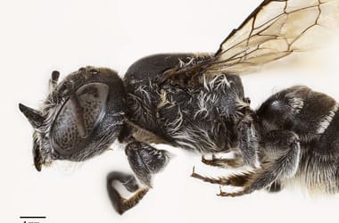 Thumbnail for 6819653