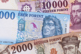 Thumbnail for 6819657