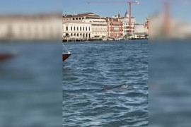 Thumbnail for 6819754