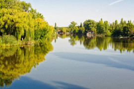 Thumbnail for 6819758