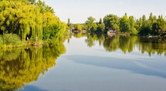 Thumbnail for 6819758