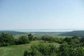 Thumbnail for 6819933