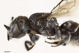 Thumbnail for 6819961