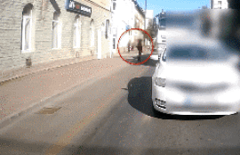 Thumbnail for 6820328