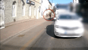 Thumbnail for 6820328