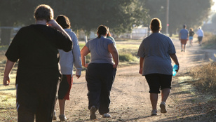 Thumbnail for 6820423