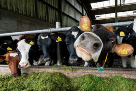 Thumbnail for 6820514