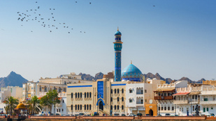 Thumbnail for 6820532