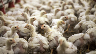 Thumbnail for 6820628