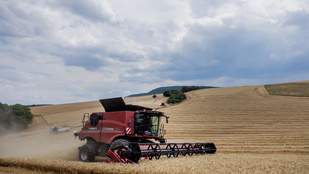 Thumbnail for 6820699