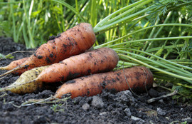 Thumbnail for 6821157