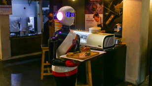 Thumbnail for 6821239