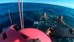 Thumbnail for 6821254