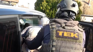 Thumbnail for 6821268