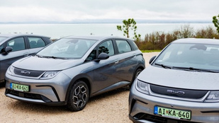 Thumbnail for 6821334