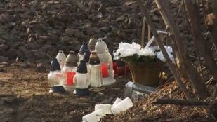 Thumbnail for 6821354