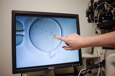 Thumbnail for 6821500