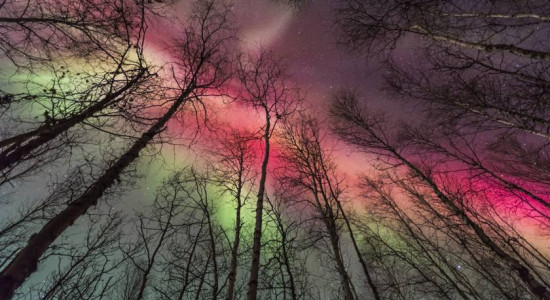 Thumbnail for 6821519