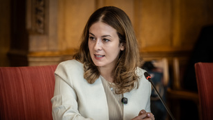 Thumbnail for 6821539