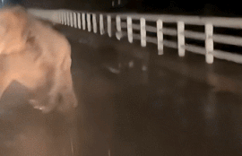 Thumbnail for 6821636