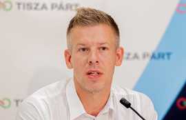 Thumbnail for 6821788