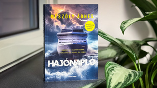 Thumbnail for 6822177