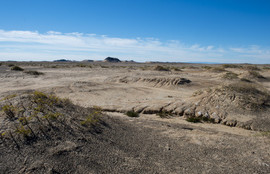 Thumbnail for 6822330