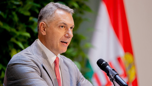 Thumbnail for 6822418