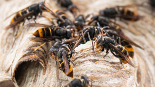 Thumbnail for 6822504