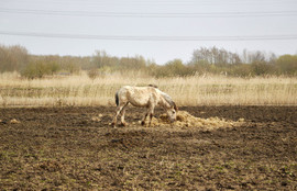 Thumbnail for 6822518