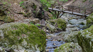 Thumbnail for 6822551